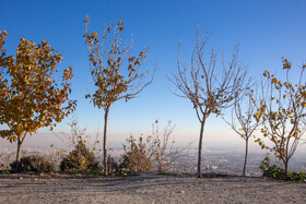 مشهد؛ محاصره در دود