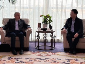 صالحی امیری به چین رفت