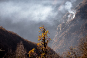 ۲۳ روز بعد از آتش‌سوزی در جنگل‌های منطقه روستای الیت