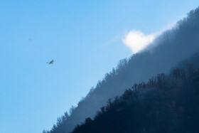 در بین سامانه‌های هوایی ایران، هواپیما‌های ترکیه‌ای نیز به چشم می‌خوردند که در حال بررسی و آب پاشی در قسمت‌هایی که دود دیده می‌شد بودند.