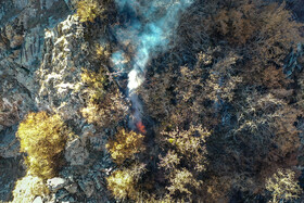 بعد از بازگشت نیز همچنان در جنگل‌های منطقه الیت دود و آتش دیده می‌شد. 