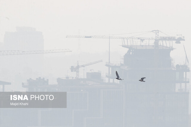 پایداری «وضعیت قرمز هوای تهران»/ میانگین شاخص آلودگی هوای منطقه ۱۱ به حدود ۲۰۰ رسید