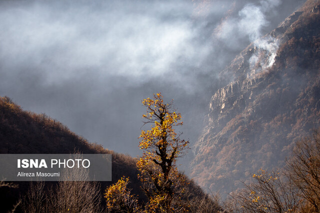 مدیریت جنگل‌ها در بن‌بست برنامه‌ریزی؟