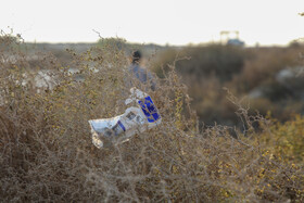 پاکسازی سواحل کیش