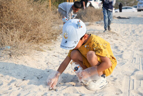 پاکسازی سواحل کیش