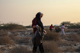 پاکسازی سواحل کیش