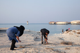 پاکسازی سواحل کیش