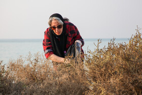 پاکسازی سواحل کیش