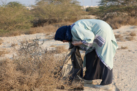 پاکسازی سواحل کیش