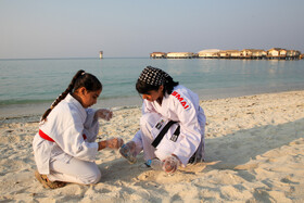 پاکسازی سواحل کیش