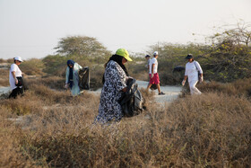 پاکسازی سواحل کیش