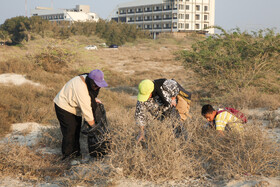 پاکسازی سواحل کیش