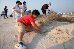 پاکسازی سواحل کیش