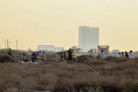 پاکسازی سواحل کیش