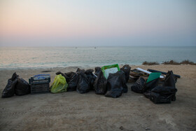 پاکسازی سواحل کیش