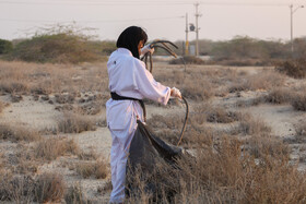 پاکسازی سواحل کیش