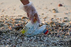 پاکسازی سواحل کیش