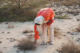 پاکسازی سواحل کیش