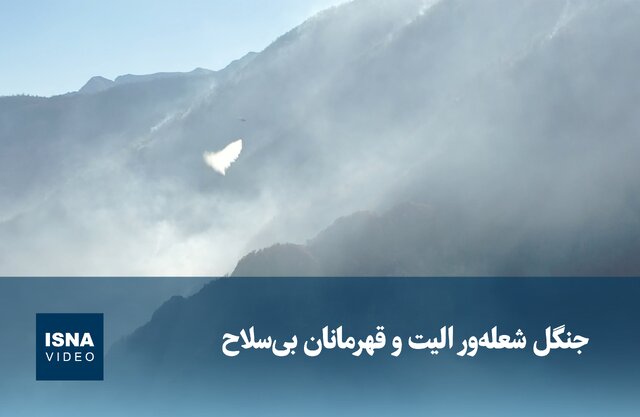 ویدیو/ جنگل شعله‌ور الیت و قهرمانان بی‌سلاح