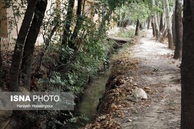 تلاش برای مدیریت مصرف آب در باغات شیراز