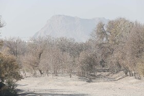 پارک جنگلی ناژوان