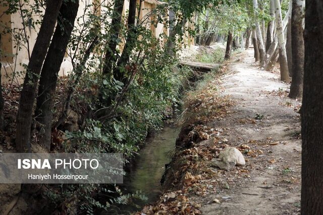 تلاش برای مدیریت مصرف آب در باغات شیراز
