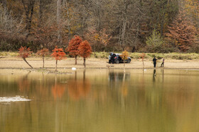 کاهش چشمگیر آب در بخش جنوبی دریاچه الندان؛ درختانی که یک‌باره از دل آب بیرون افتاده‌اند.