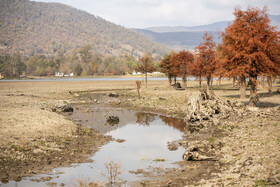 بقایای درختان سوخته و خشک‌شده در بستر دریاچه؛ تأثیر مستقیم کاهش بارش و گرمای بی‌سابقه.