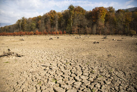 کف خشکیده دریاچه الندان؛ جایی که سطح وسیعی از آن اکنون به زمین ترک‌خورده تبدیل شده است.