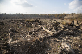 نمایی گسترده از دریاچه خالی‌شده؛ جایی که تا اوایل تابستان زیر آب قرار داشت.