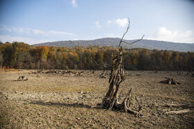 کف خشکیافته الندان؛ گسترش ترک‌ها در بستر دریاچه بر اثر کاهش ۶۹ درصدی بارش‌های پاییزی.
