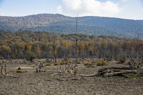 نمایی وسیع از بستر خشک‌شده الندان با پس‌زمینه جنگل‌های پاییزی مازندران.