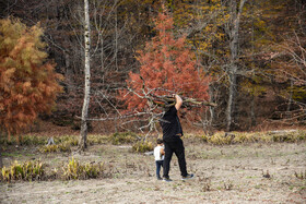 گردشگران در میان درختان پاییزی کنار دریاچه؛ جایی که خشکی امسال بیش از همیشه خود را نشان می‌دهد.