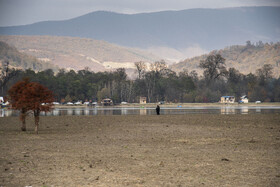 کاهش چشمگیر آب در بخش جنوبی دریاچه الندان؛ درختانی که یک‌باره از دل آب بیرون افتاده‌اند.