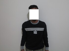 شناسایی و بازداشت عامل تخریب اموال عمومی در کلاته‌خیج شاهرود