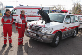 مانور زلزله در مدارس زنجان