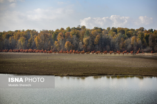 پاییز خشک مازندران؛ دریاچه الندان نفس کم می‌آورد