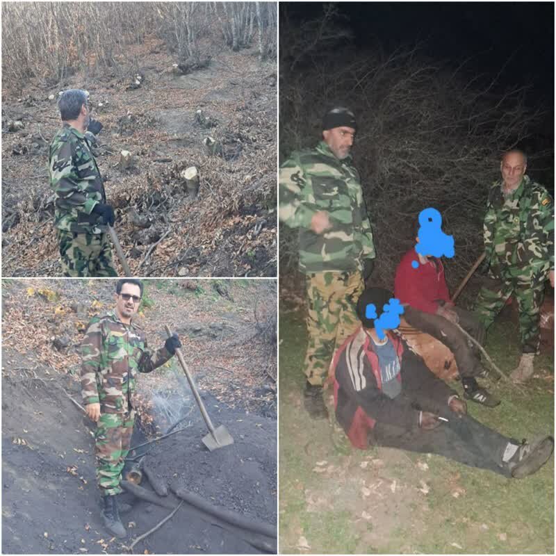 عاملان قطع درختان جنگلی منطقه سوها قبلا دستگیر و تحویل دستگاه قضایی شده‌اند