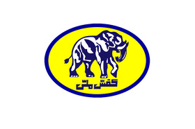 قدردانی کفش ملی از ورود دیوان محاسبات در واگذاری حقوق مالکانه ملک میدان قیام