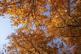 اَلِشتَر؛ تابلوی زنده پاییز در قلب زاگرس
