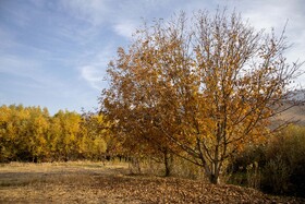 اَلِشتَر؛ تابلوی زنده پاییز در قلب زاگرس
