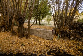 اَلِشتَر؛ تابلوی زنده پاییز در قلب زاگرس
