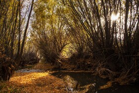 اَلِشتَر؛ تابلوی زنده پاییز در قلب زاگرس
