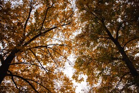 اَلِشتَر؛ تابلوی زنده پاییز در قلب زاگرس
