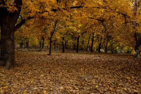 اَلِشتَر؛ تابلوی زنده پاییز در قلب زاگرس
