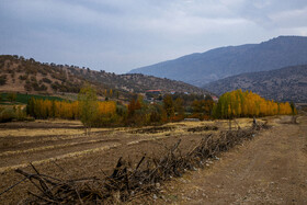 اَلِشتَر؛ تابلوی زنده پاییز در قلب زاگرس
