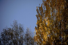 اَلِشتَر؛ تابلوی زنده پاییز در قلب زاگرس
