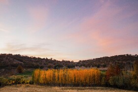 اَلِشتَر؛ تابلوی زنده پاییز در قلب زاگرس
