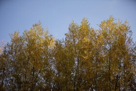 اَلِشتَر؛ تابلوی زنده پاییز در قلب زاگرس
