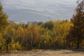 اَلِشتَر؛ تابلوی زنده پاییز در قلب زاگرس
